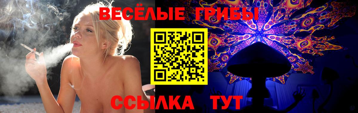 Галлюциногенные грибы мицелий Пугачёв