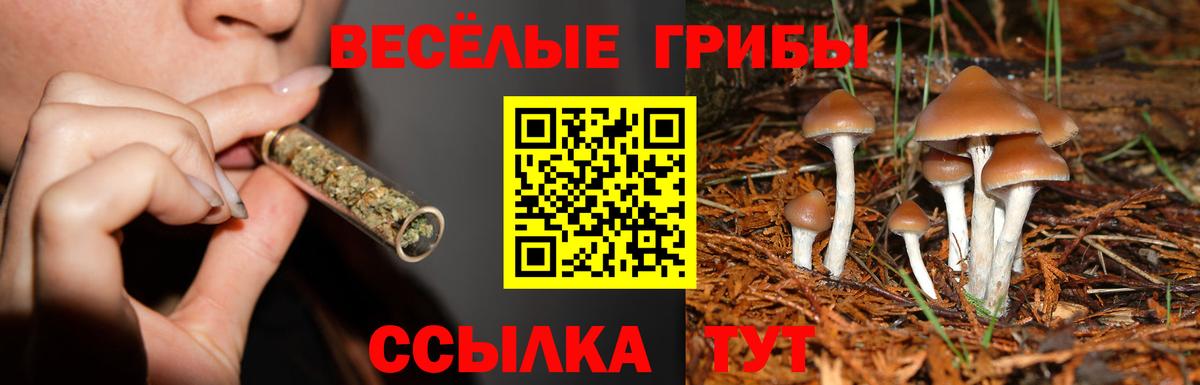 Галлюциногенные грибы мицелий  Вход с VPN  Пугачёв 
