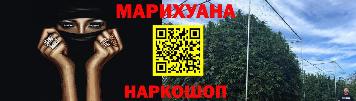Канабис планчик Пугачёв